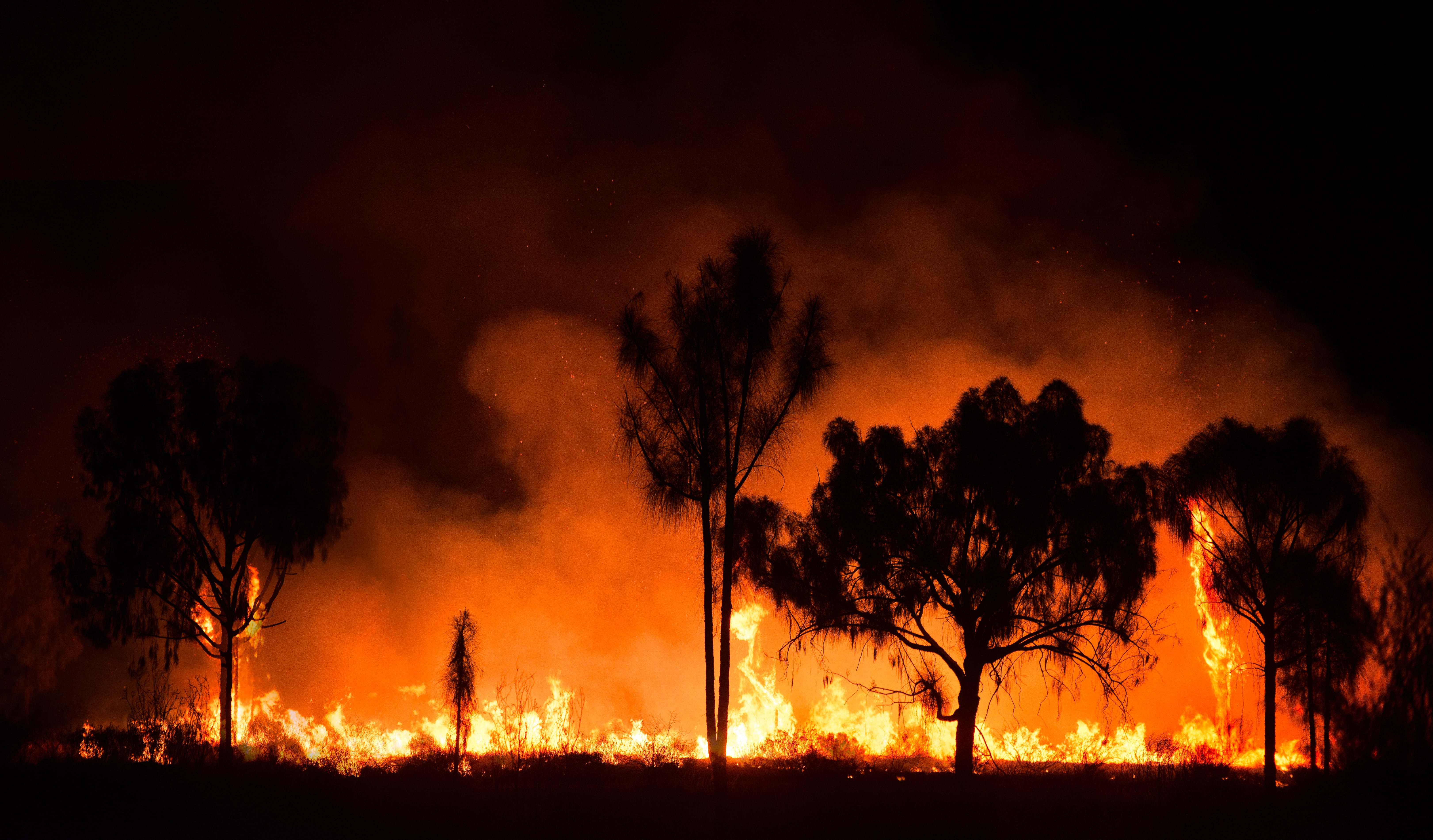 Incendi in Australia, come reagisce il governo verde