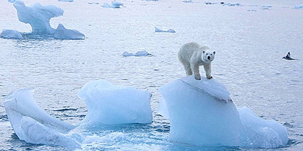 Scioglimento del Polo Nord: avviene 6 volte più veloce del previsto